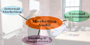 AUDITING THE  MARKETING FUNCTION
